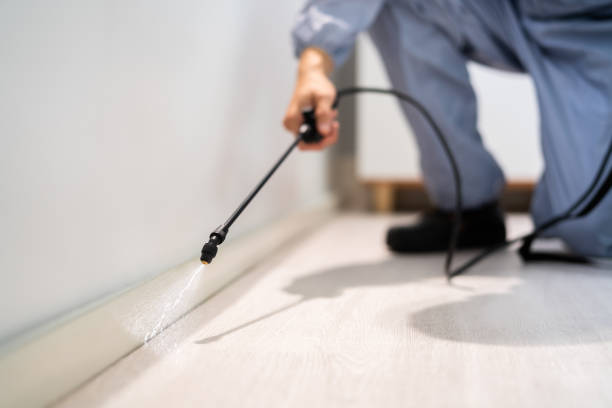 Licensed Fumigation Services service in Lake Holm, WA - Nex Pest Control