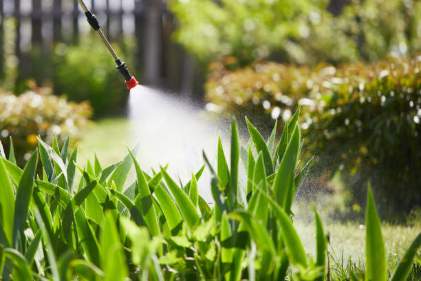 24/7 Emergency Fumigation Services experts in Lake Holm, WA