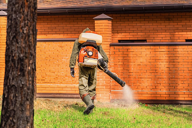 Trusted Ant Control service in Lake Holm, WA - Nex Pest Control